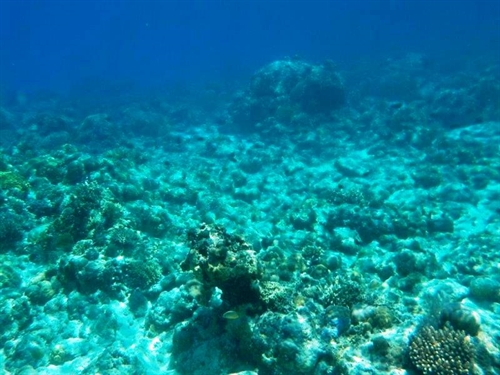 fondali di Gangga island